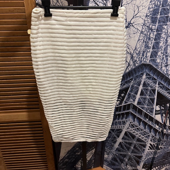 Viuienne Grace Dresses & Skirts - Viuienne Grace Women’s Sheer Skirt